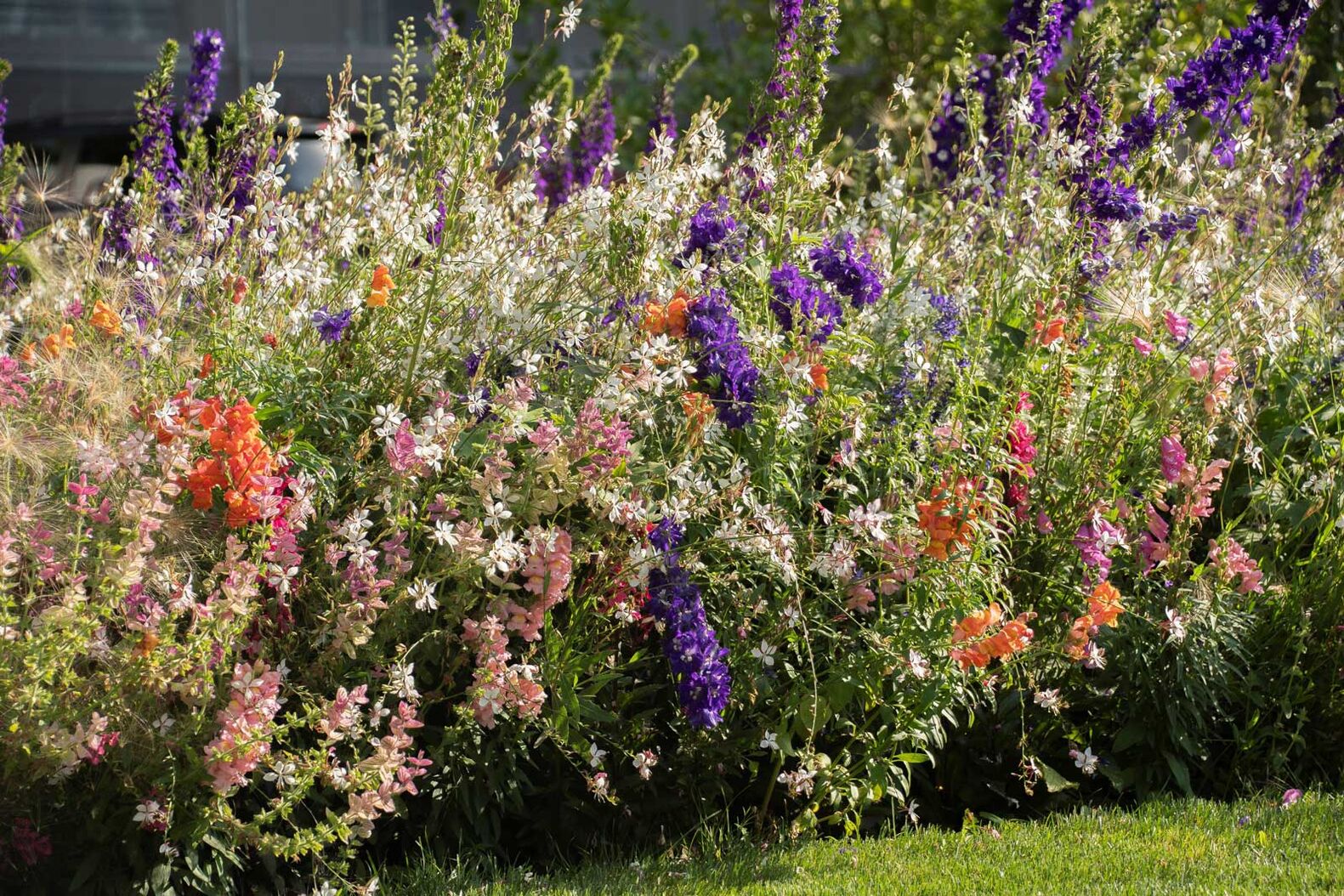 Blühende Vielfalt mit saisonaler Bepflanzung: Eine saisonale Bepflanzung bringt Vielfalt und Lebendigkeit in den Garten. Das abwechslungsreiche Bepflanzungskonzept «Wechselflor» ermöglicht es, Blumen und Blattschmuckpflanzen je nach Jahreszeit auszutauschen – von Tulpen und Hornveilchen im Frühling bis zu Chrysanthemen und Ziergräsern im Herbst. Die Auswahl ist vielfältig und lässt Platz für eine kreative Gestaltung. Die Kombination verschiedener Blütenpflanzen fördert zudem die Biodiversität und bietet Nahrung für Insekten. JardinSuisse, www.jardinsuisse.ch