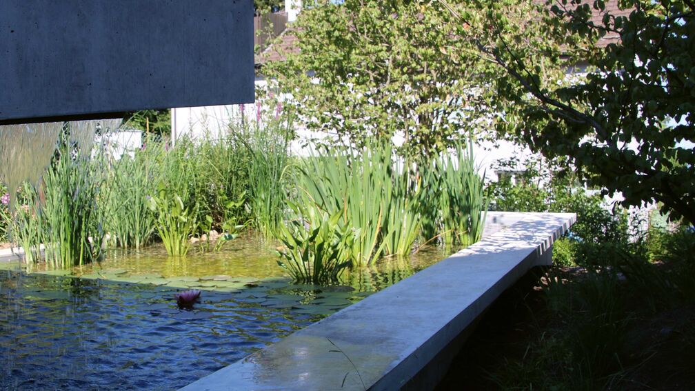 Garten: gut geplant ist halb gebaut