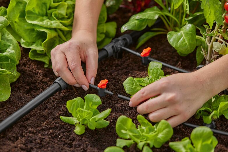 Egal ob Rasen, Blumen oder Salatanbau, egal ob Hitze oder Regen – eine automatische Bewässerungsanlage sorgt immer für die richtige Dosierung der Wassermenge. www.gardena.ch